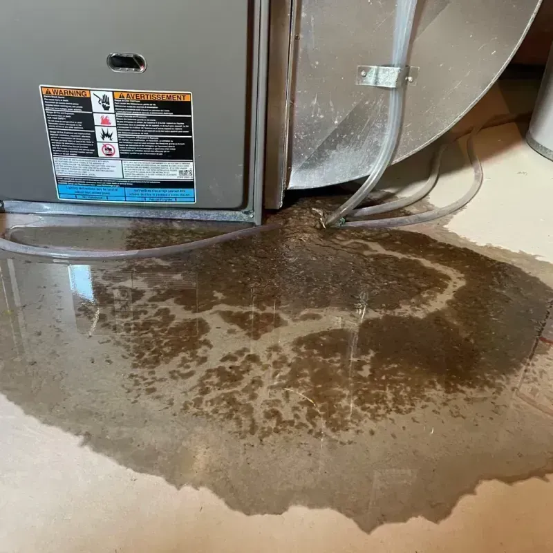 Appliance Leak Cleanup in Glasgow, KY